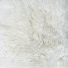 Alpaca Fur